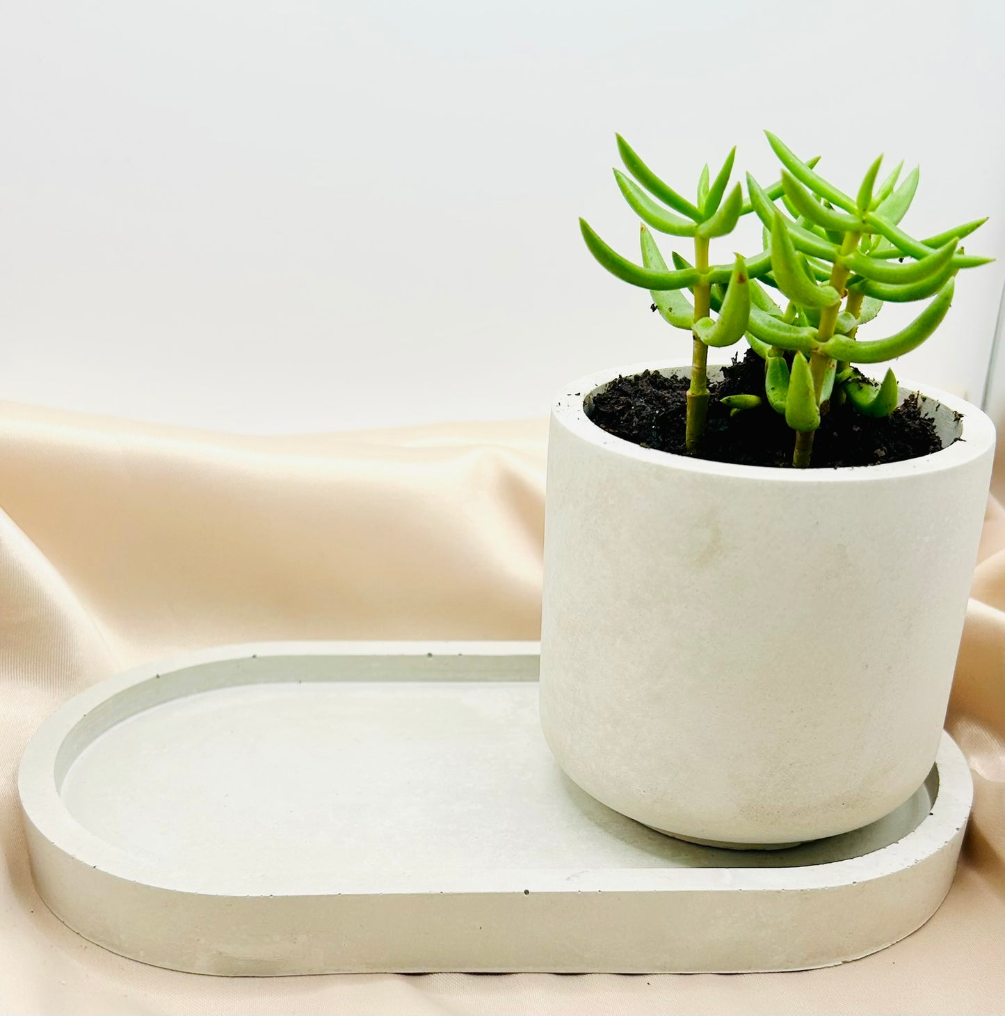 Big Brother Succulent Pot