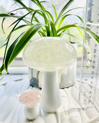 Pearl Mushroom Handmade | Cottagecore Home Decor