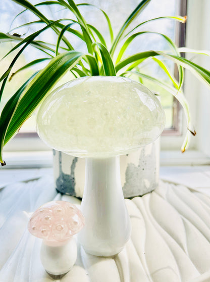 Pearl Mushroom Handmade | Cottagecore Home Decor