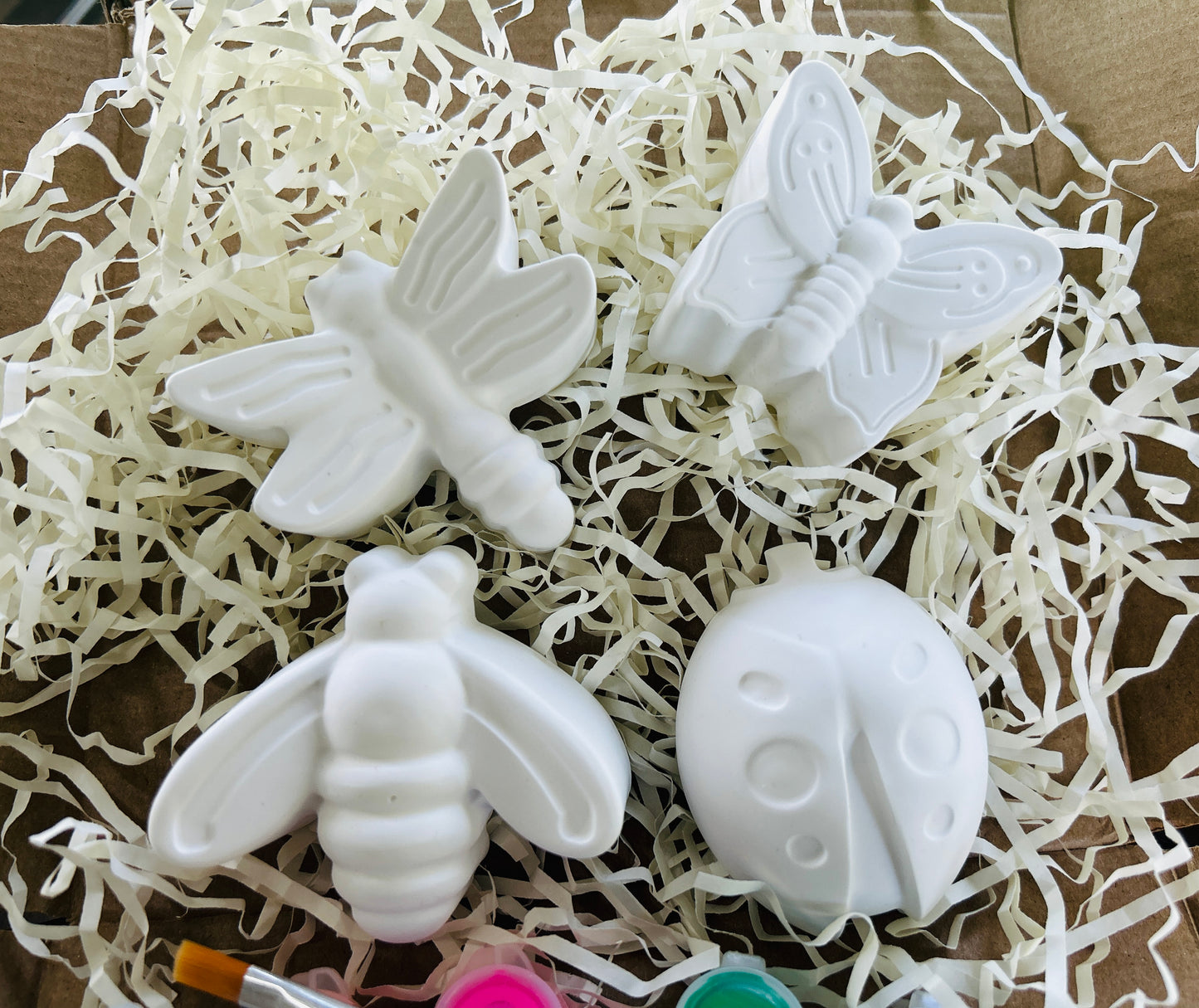 Summer Buggy Paint Kit