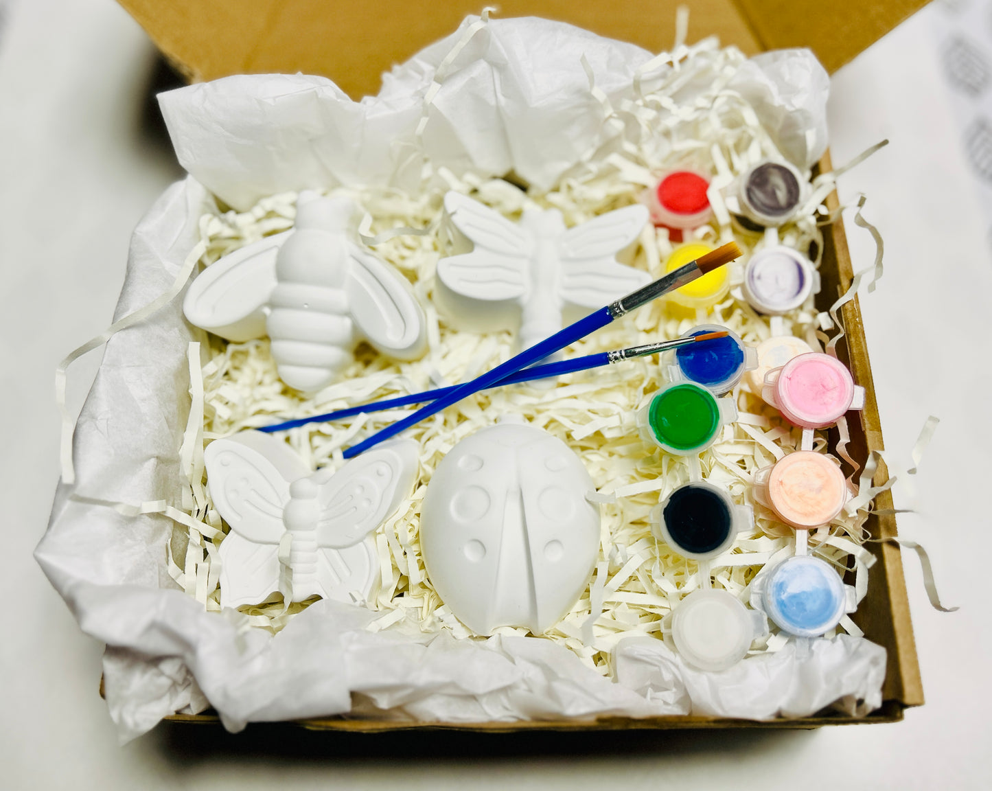 Summer Buggy Paint Kit