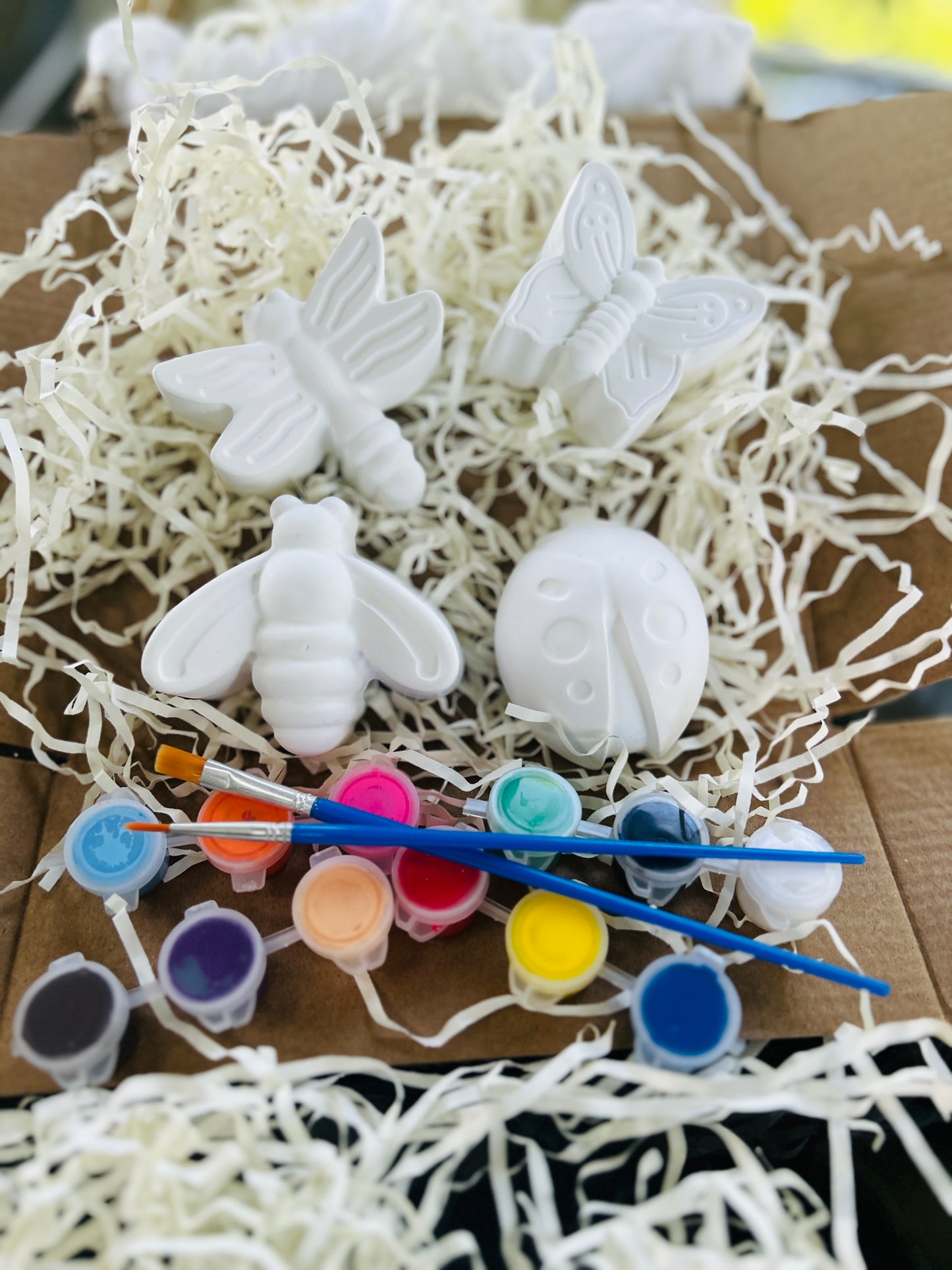 Summer Buggy Paint Kit