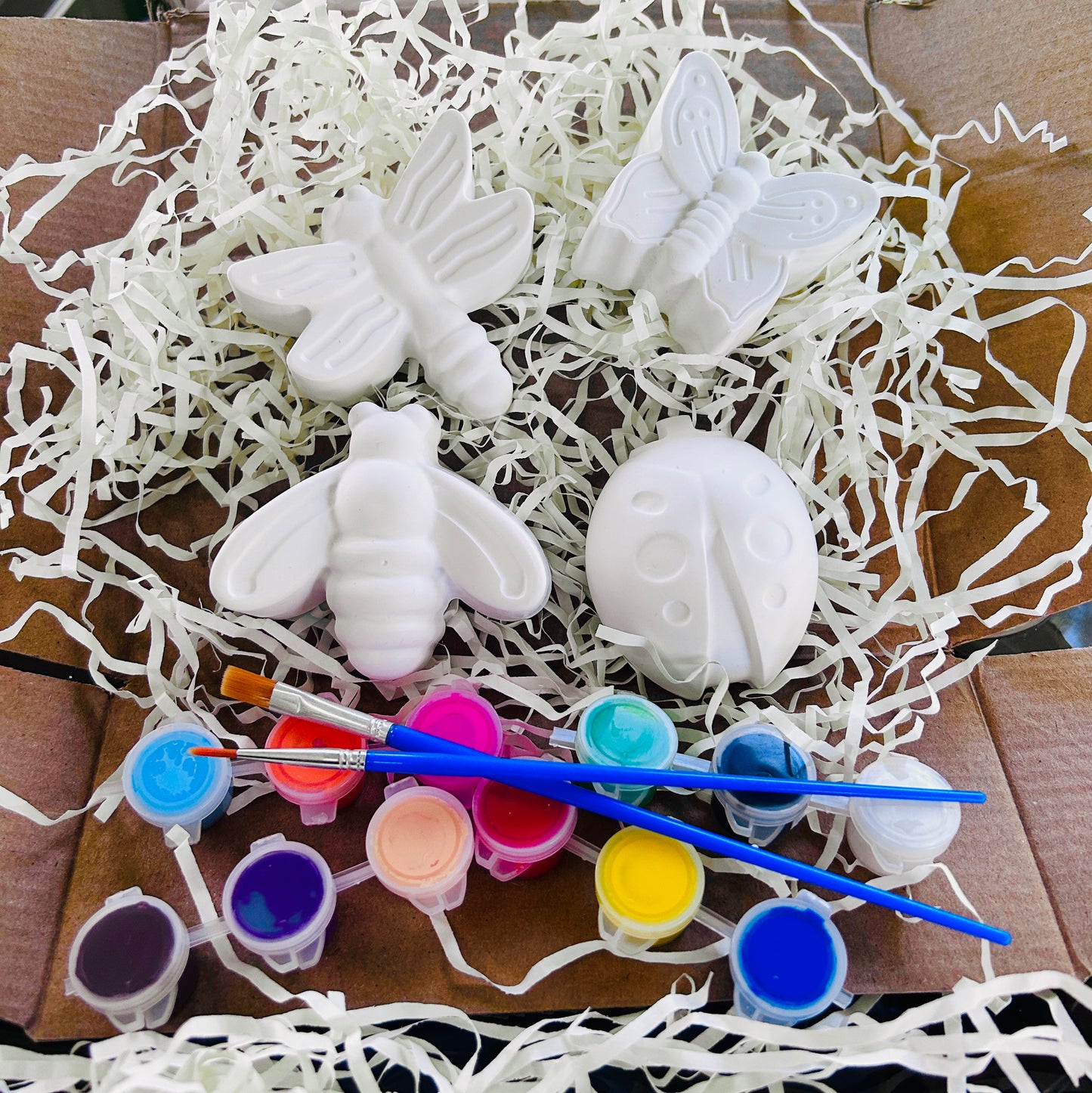 Summer Buggy Paint Kit